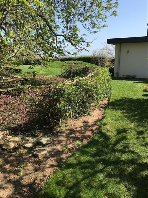 hedge trimming laying